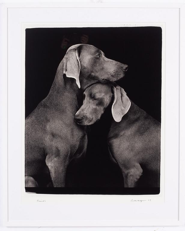 William Wegman, "Friends".