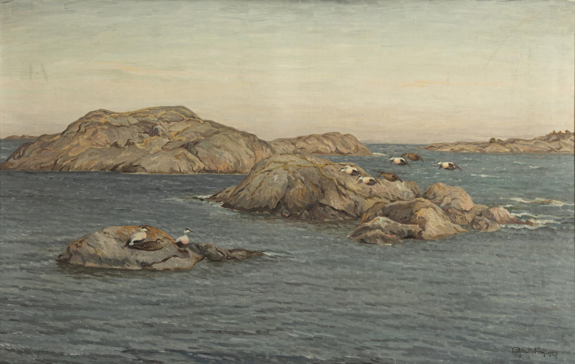 Rolf Mellström, Eiders in the sea band.