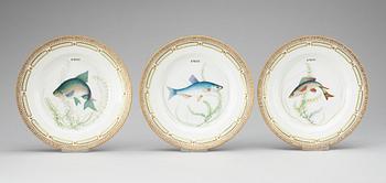 A set of 22 Royal Copenhagen 'Fauna Danica' dinner plates, 20th Century.