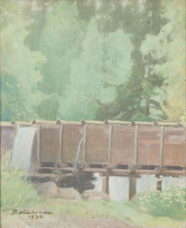 Pekka Halonen,  "Patolaitteita".