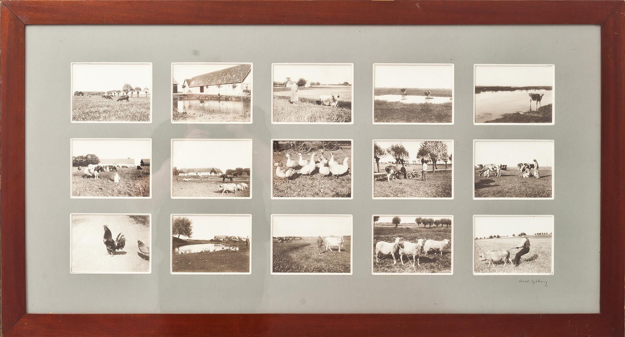 FOTOCOLLAGE, 2 st. Signerade  Axel Sjöberg. Omkring 1900.
