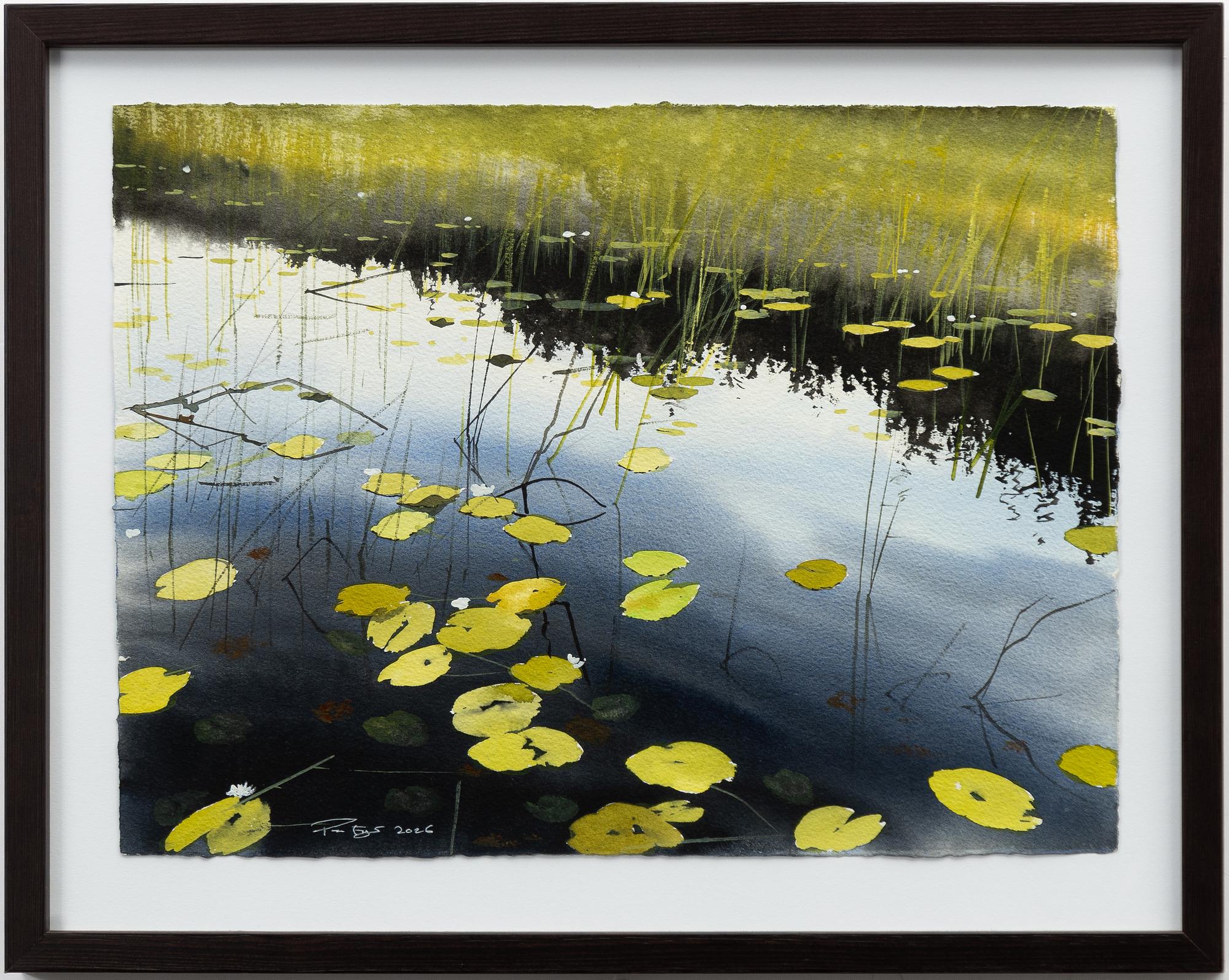 Peter Eugén, View over a lake with water lilies.