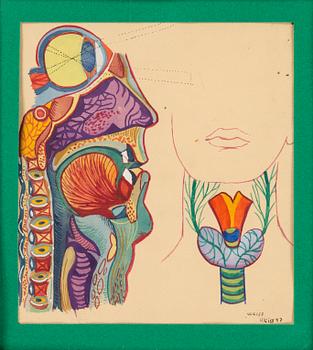 PETER WEISS, two gouache on paper, signed Weiss and signed and dated Weiss 47.