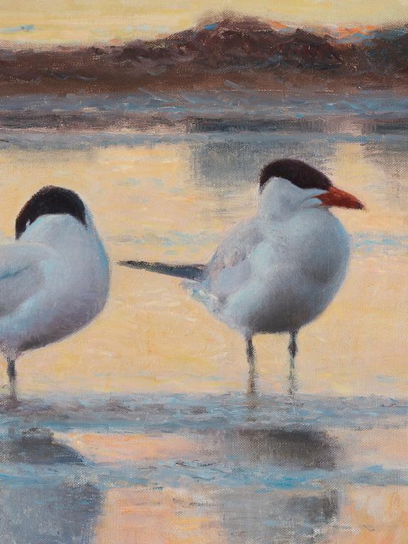 Lars Jonsson, Wading terns.