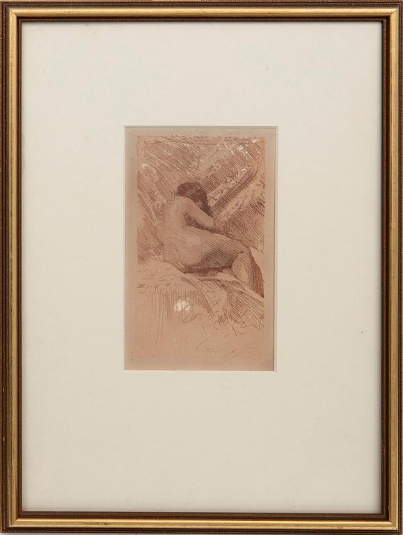 Anders Zorn, Model study.