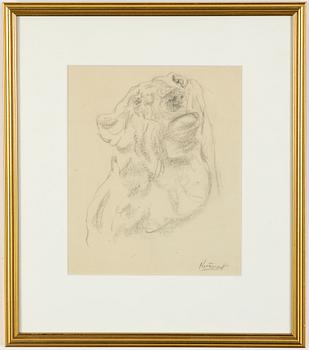 Arvid Knöppel, pencil drawing, signed.