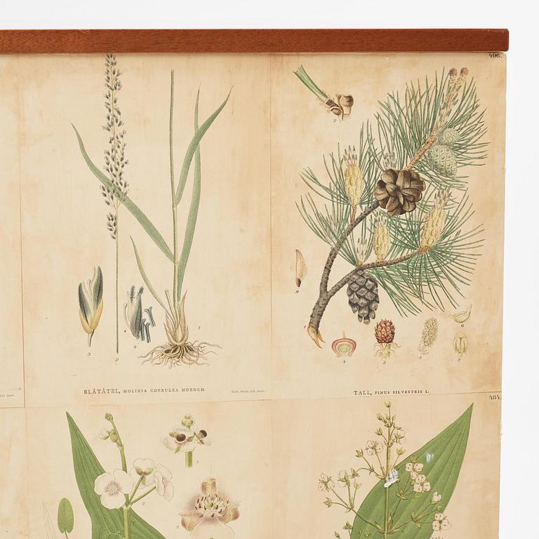 Josef Frank, byrå, "Flora", Firma Svenskt Tenn, sannolikt 1970-tal.