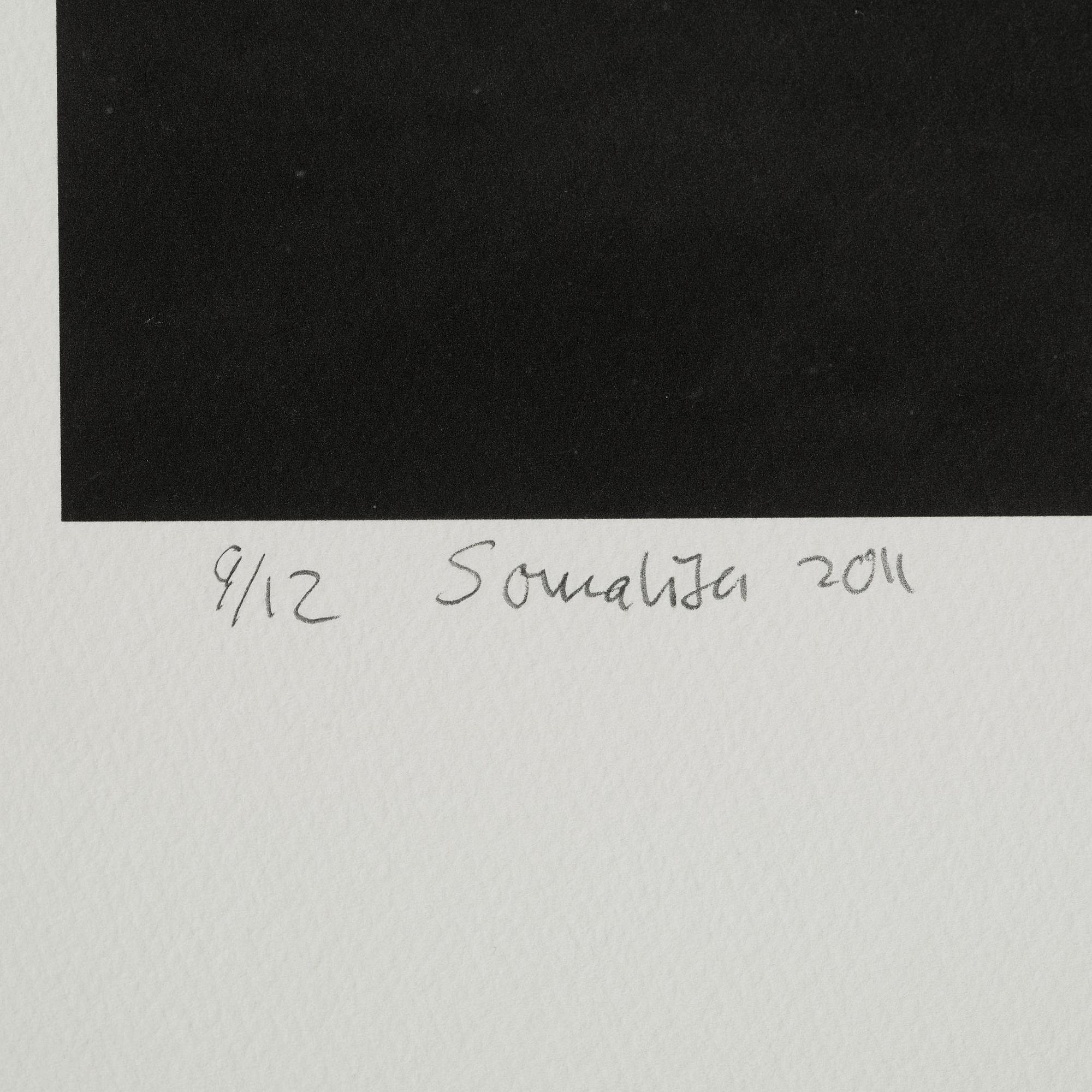 HÅKAN LUDWIGSON, photography signed Håkan Ludwigsson and dated Somalisa 2011 and numbered 9/12.