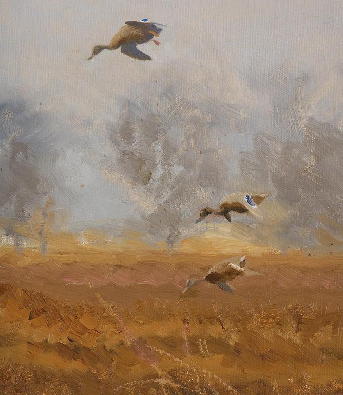 Bruno Liljefors, Flying ducks.