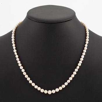 Necklace, with graduated pearls, silver clasp.