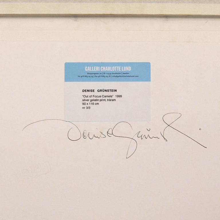 Denise Grünstein, "Out of focus camels" 1999.