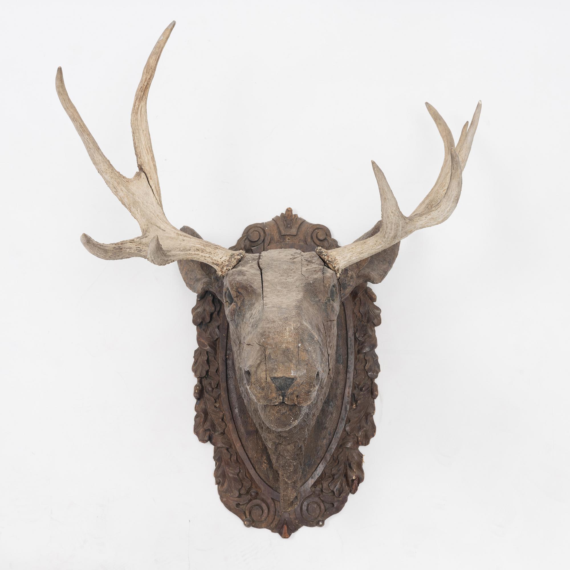 Älghuvud i skuret betsat trä med horn.