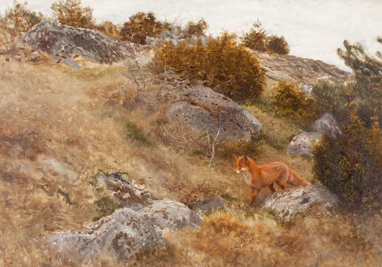 Bruno Liljefors, Autumn landscape with fox.