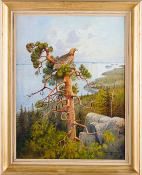 Ejnar Kohlmann, White-tailed eagle.