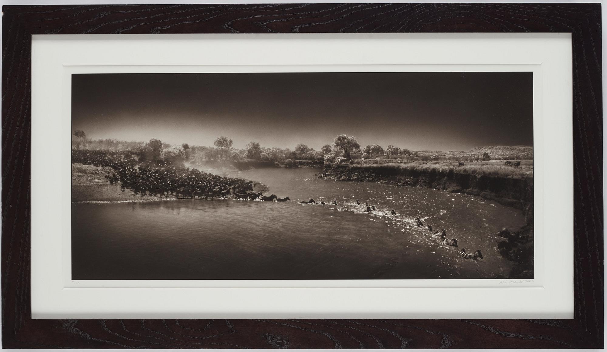 Nick Brandt, "Zebra River Crossing, Masai Mara, 2006".
