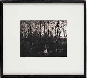 Pentti Sammallahti, Untitled, 1974.