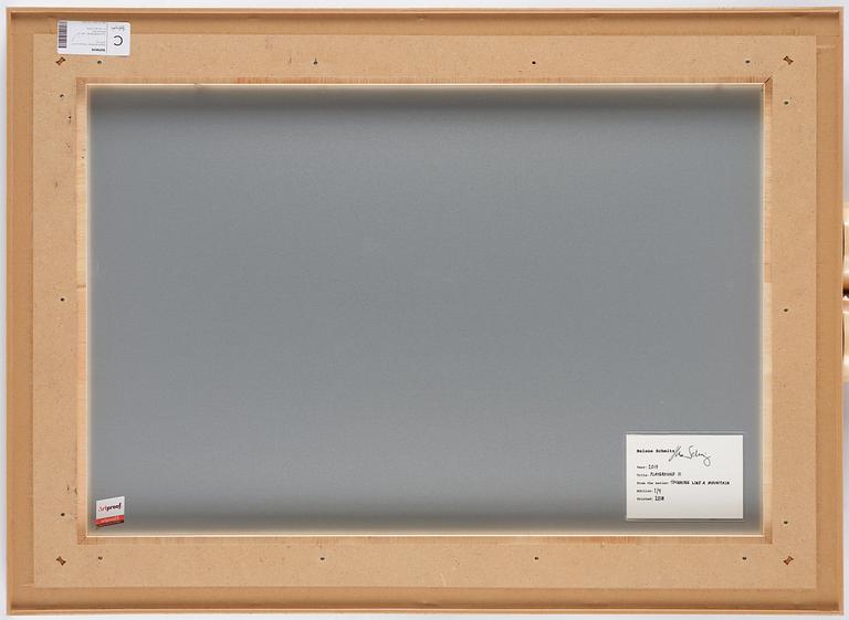 Helene Schmitz, "Playground II", 2017.