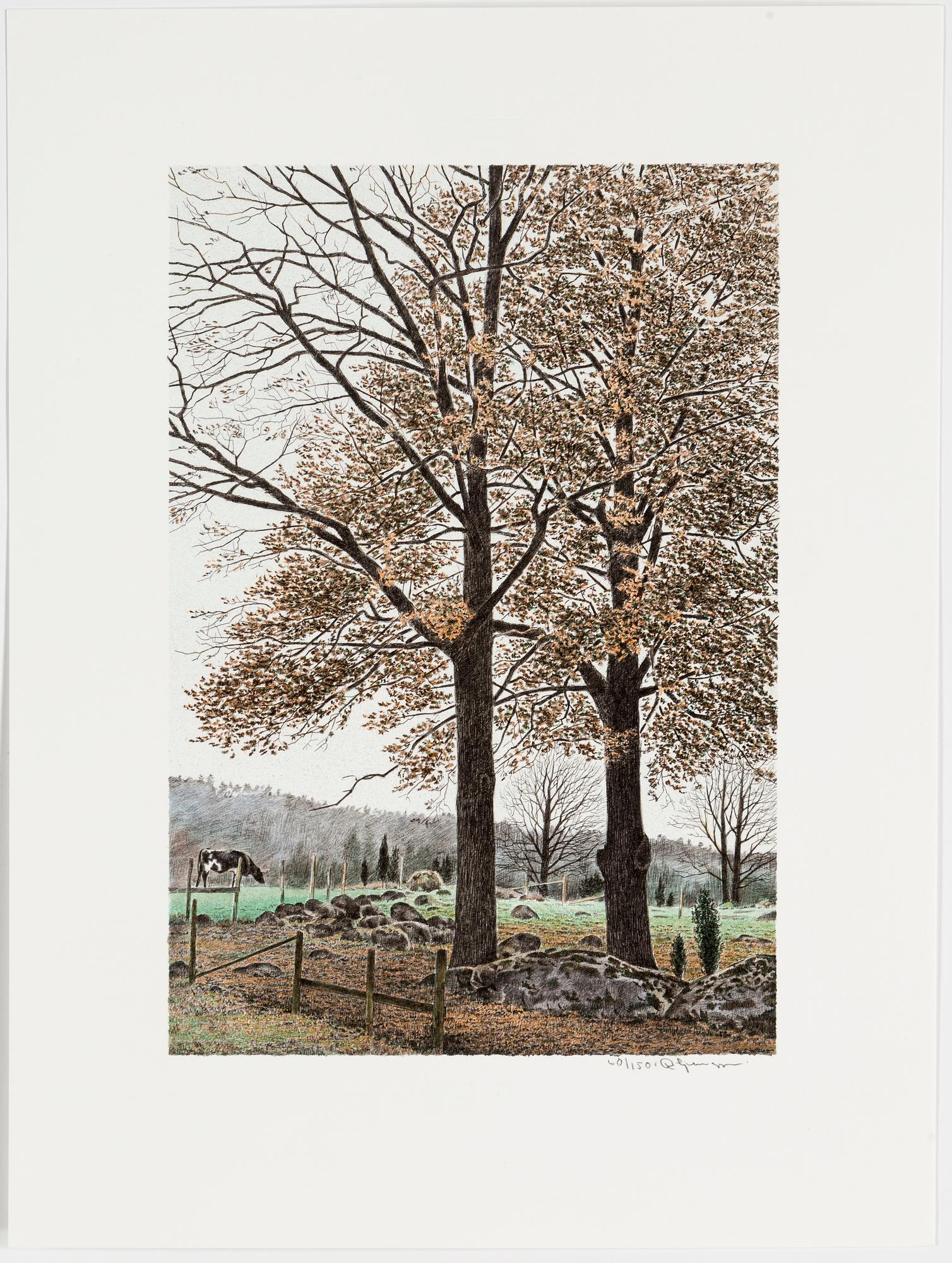 REINHOLD LJUNGGREN, a folder with 6 lithographs, signed and numbered 60/150.