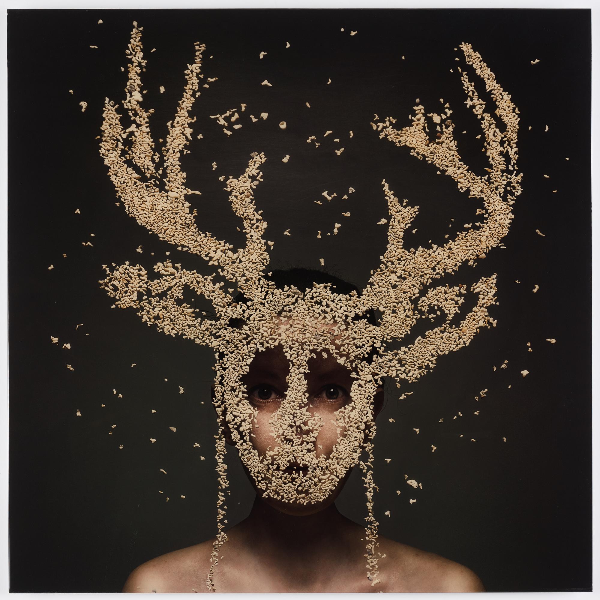 Lotta van Droom, "Wannabe deer".