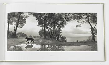 Pentti Sammallahti, "Sammallahti".