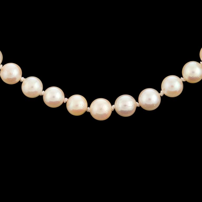 A necklace of cultured pearls with a clasp in 18K gold.