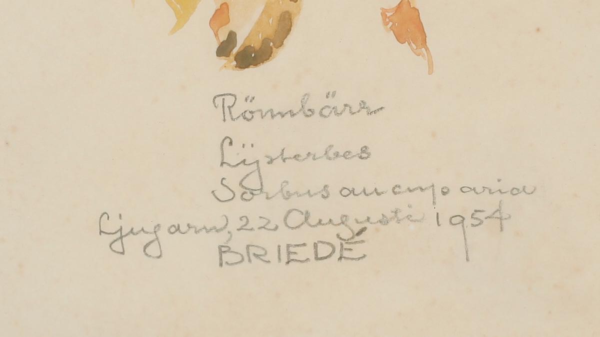 JOHAN BRIEDÉ, akvarell, sign Ljugarn augusti 1954.