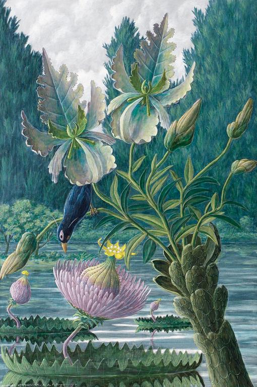 Karl Axel Pehrson, "Catharina Nymphaeoidea".