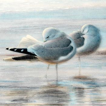 Lars Jonsson, lithograph signed and numbered 205/310.