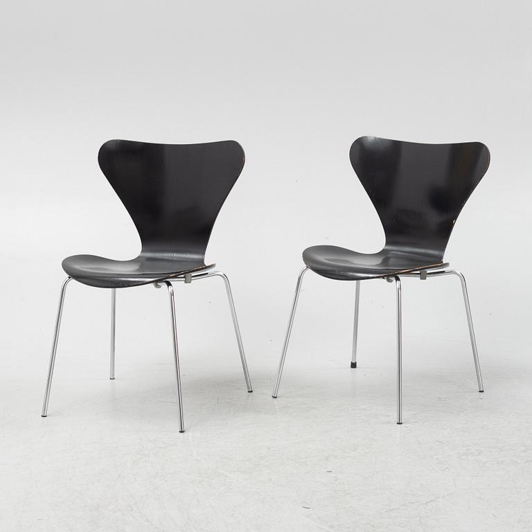 Arne Jacobsen, stolar sex st. "Sjuan", Fritz Hansen, Danmark, 1960- och 70-tal.