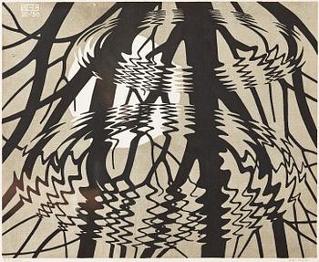 205. Maurits Cornelis Escher, "Rimpeling - Rippled surface" (Cercles dans l'eau).