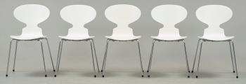 STOLAR, 5 st, "Myran", Arne Jacobsen, Fritz hansen, Danmark, 1900-talets slut.