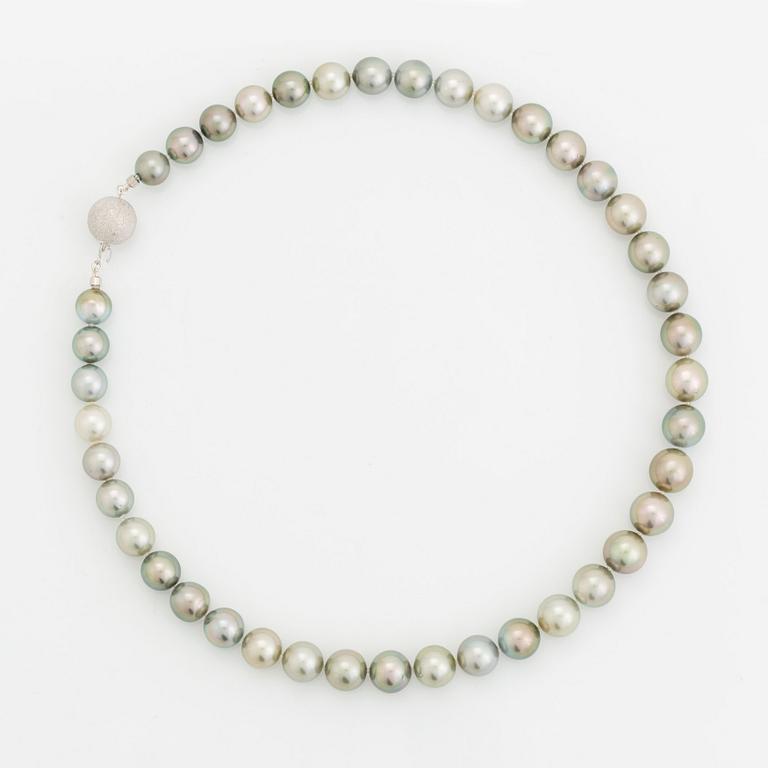 A cultured Tahiti pearl necklace.