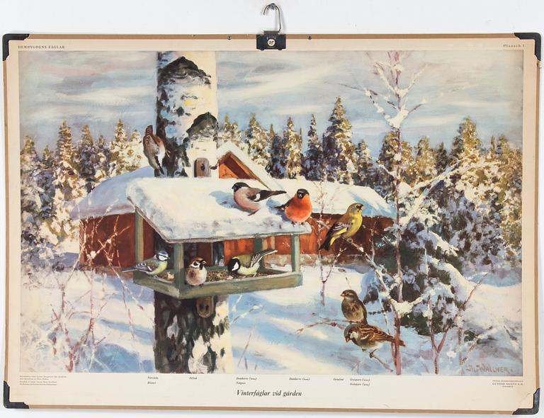 SKOLPLANSCHER, 7 st, 1900-talets mitt.