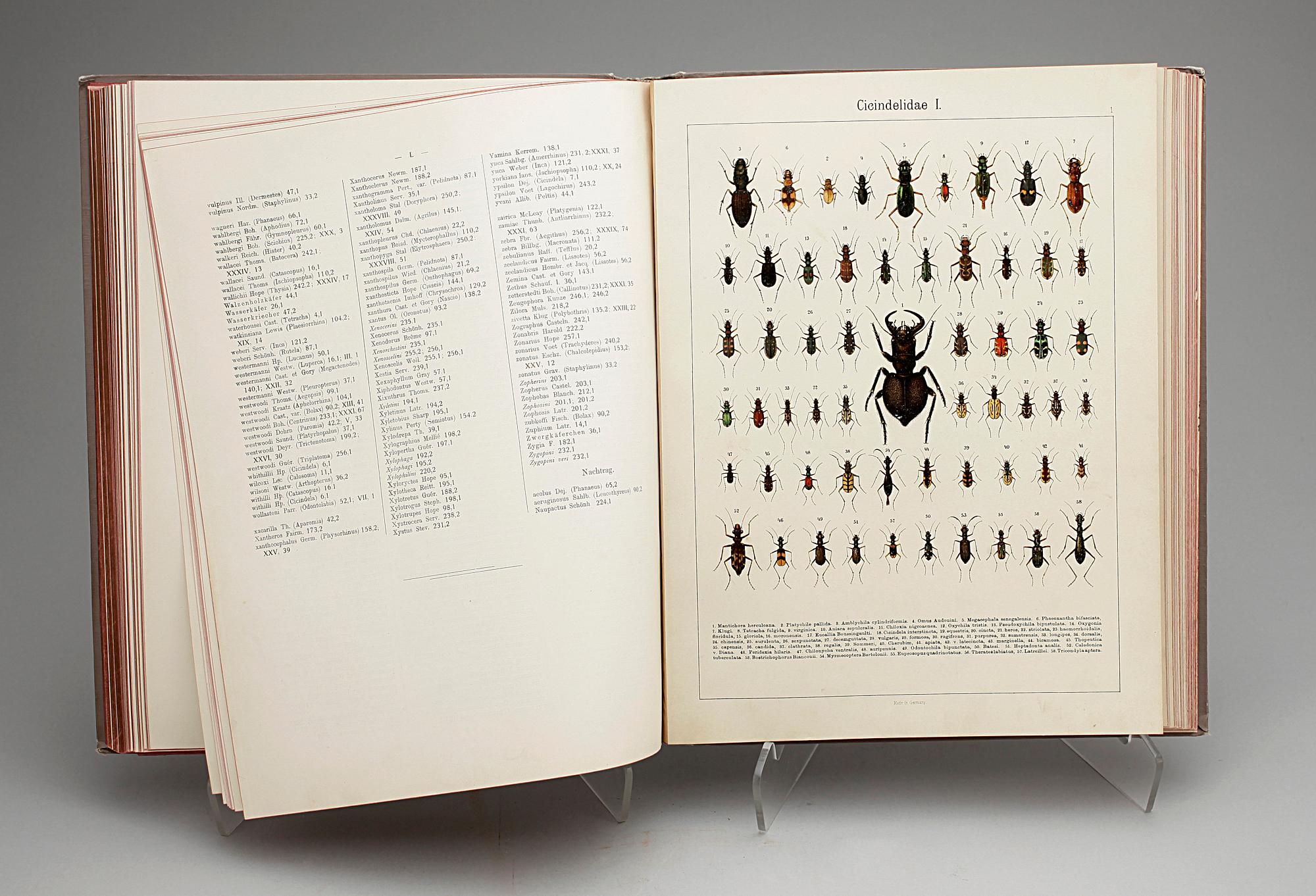 BOK, "Die exotischen Käfer in Wort und Bild" av A. Heyne, Esslingen & München 1908.