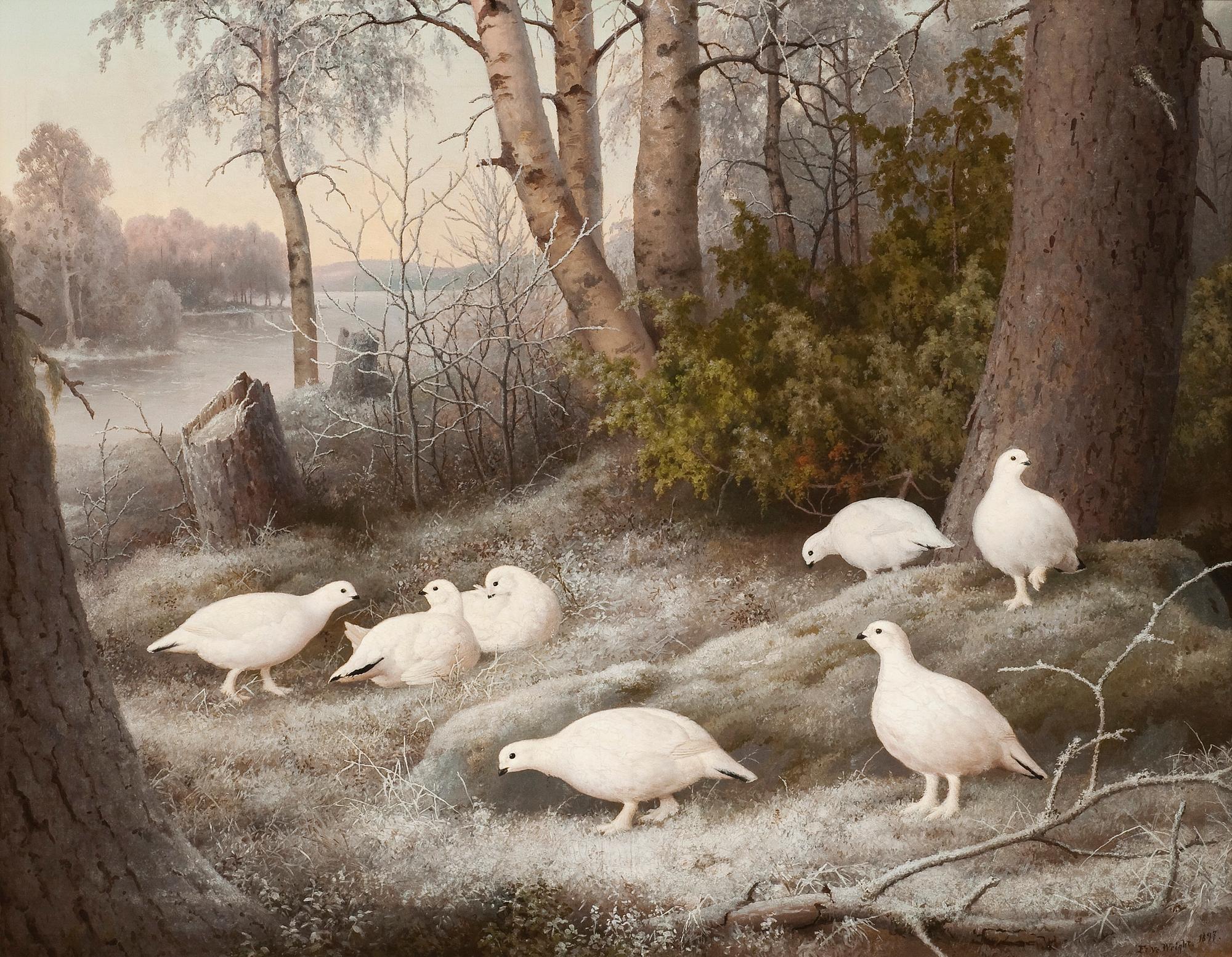 Ferdinand von Wright, "EN FLOCK RIPOR VID FLODEN".