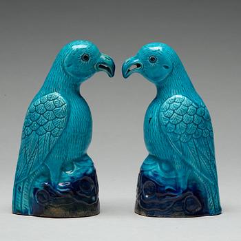 A pair of turquoise and aubergine glazed parrots, Qing dynasty, 19th Century.