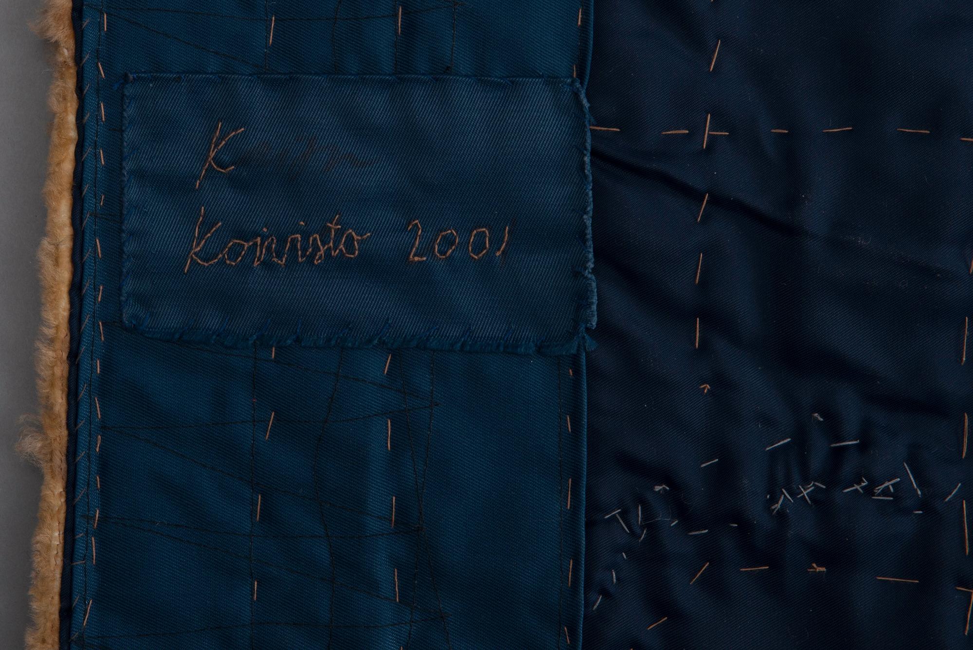 Kaisu Koivisto, "POLAR PROJECTION".