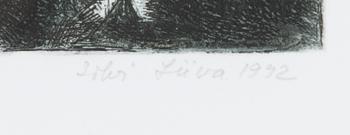 Silvi Liiva, "Igatsus".