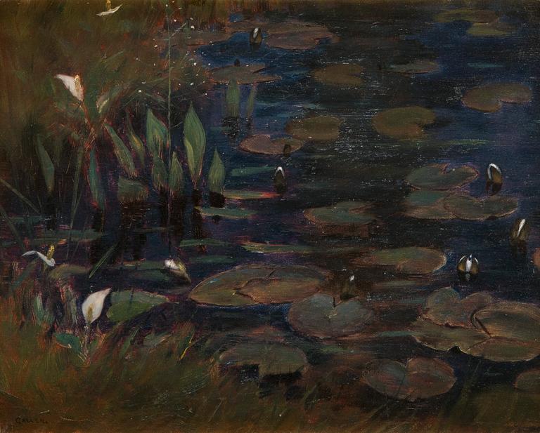 Akseli Gallen-Kallela, Forrest pond.