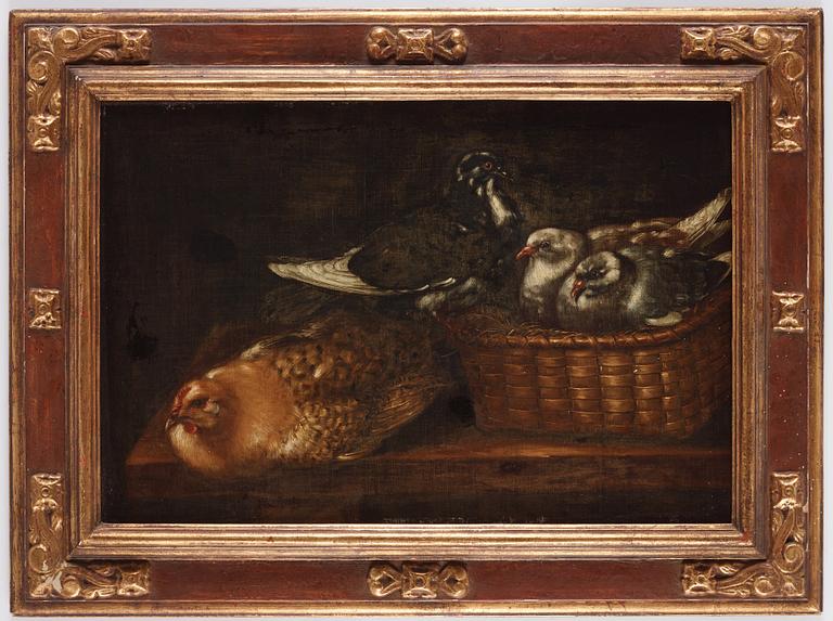 Spanish school, 17/18th Century, Still life with birds in nest / dead birds.