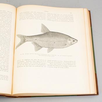 BOKVERK, 3 volymer, I+II+planschdel, "Skandinaviens Fiskar", FA Smitt, illustrerad av W von Wright, 2:a upplagan, 1895.