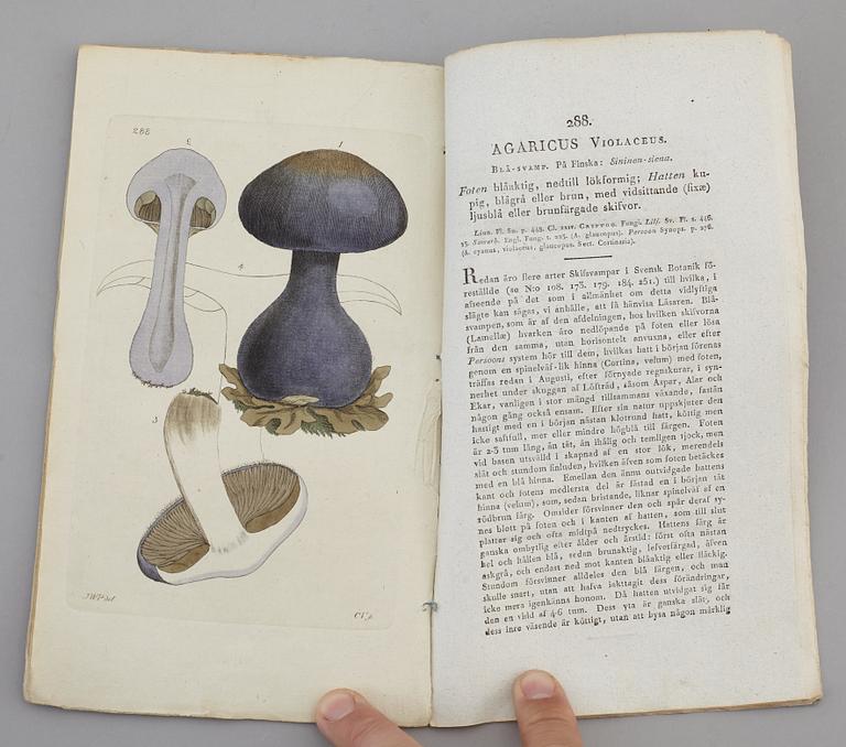 JOHAN WILHELM PALMSTRUCH, "Svensk Botanik, vol I-V. 1803-1805.