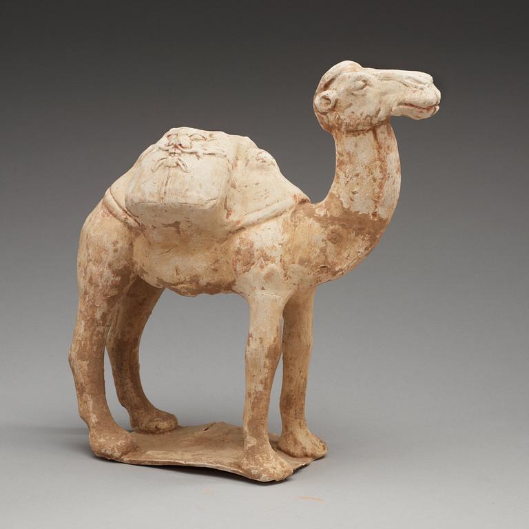 A pottery figure of a Camel, presumably Tang dynasty (618-906).