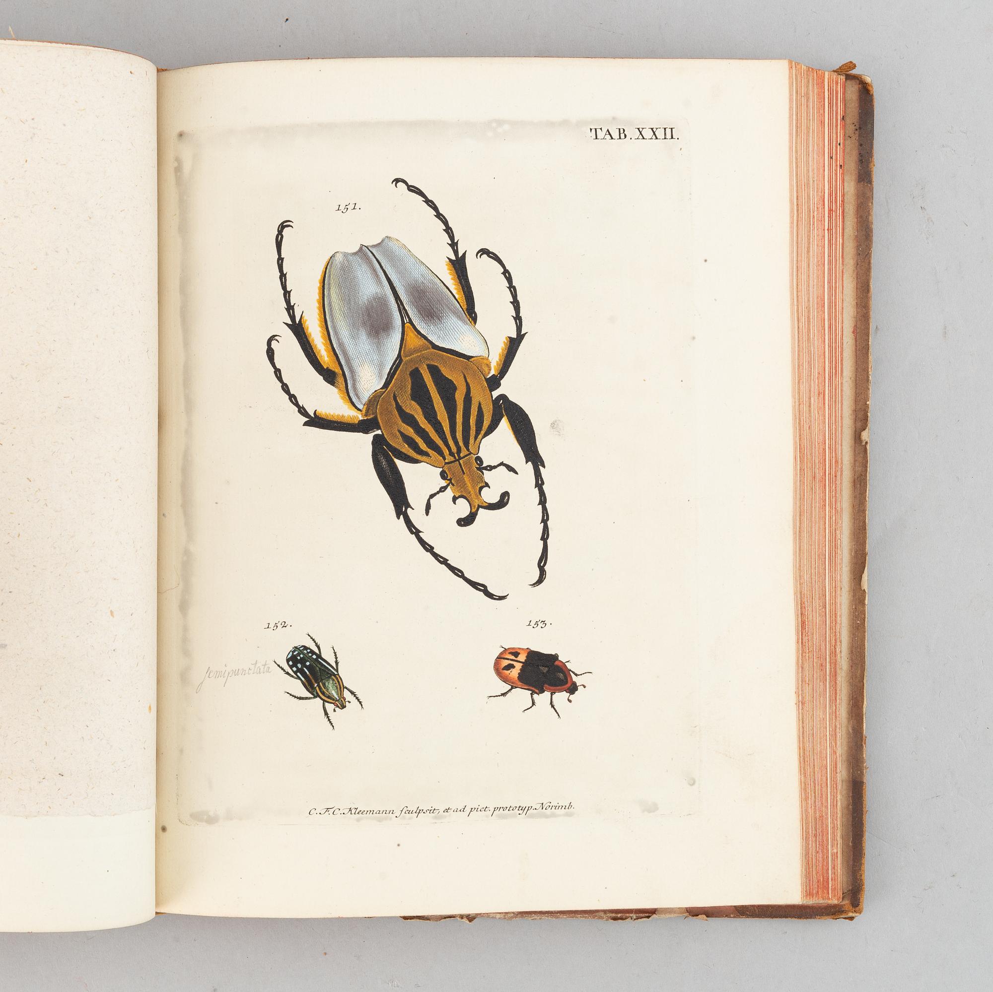 Beautiful hand-coloured engraved plates of beetles.