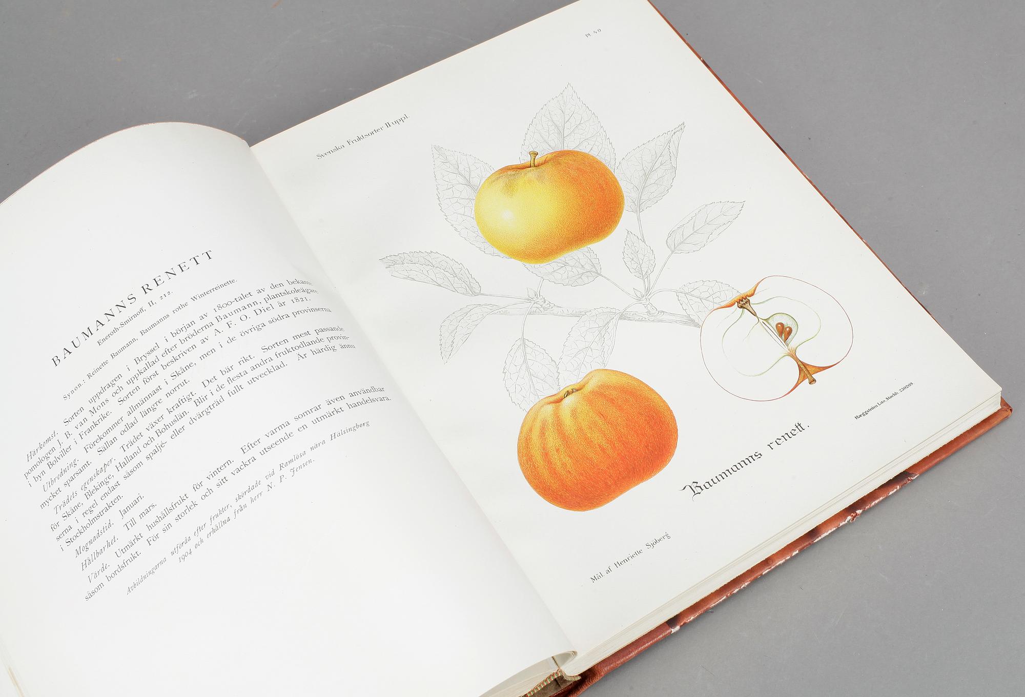 BOK, "Svenska Fruktsorter", Phil-Eriksson, PA Norstedt & Söners Förlag Stockholm 1924.