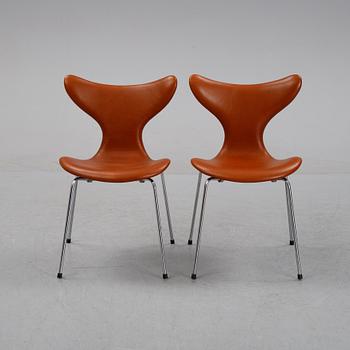 Arne Jacobsen, stolar, 6 st, Måsen/Liljan, Fritz Hansen.