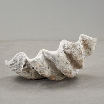 MUSSLA, fossil.