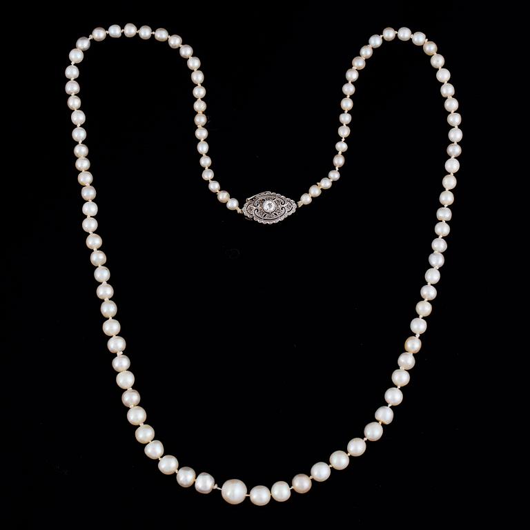 Cultured pearl necklace, clasp white gold with old-cut diamond.