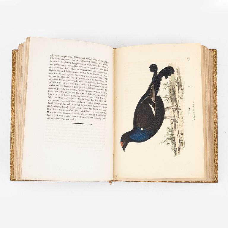 Med 200 litograferade zoologiska planscher, 1832-40, och bevarade
omslag (2 vol.).