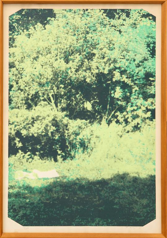 Ola Billgren, Untitled.
